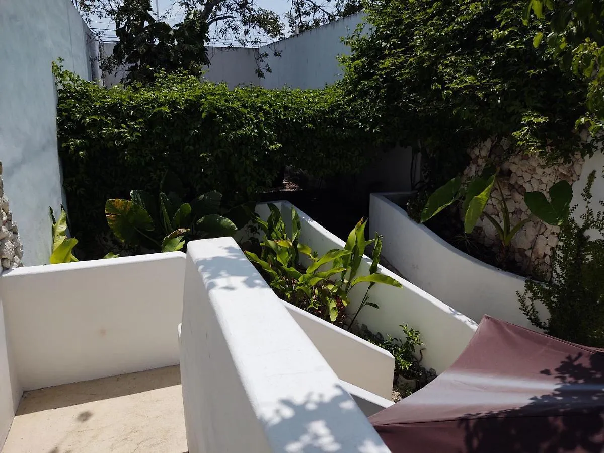 Casa Gekos Cuijas Apartment Cancun Mexico