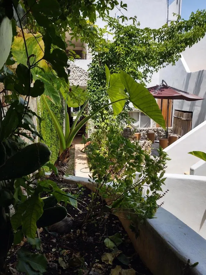 Casa Gekos Cuijas Apartment Cancun