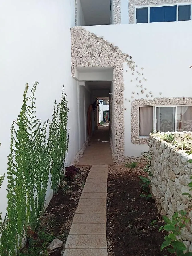 Casa Gekos Cuijas Apartment Cancun Mexico